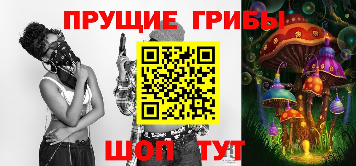 Галлюциногенные грибы мицелий  Галлюциногенные грибы мицелий  закладки  Вход с VPN  Озёры 