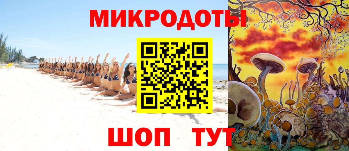 Псилоцибиновые грибы Psilocybine cubensis Озёры